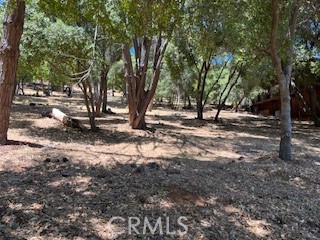 7872 Soda Bay Road, Kelseyville CA: https://media.crmls.org/medias/012e252e-f25e-450f-a4a6-725148662ddc.jpg