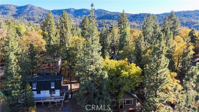 Detail Gallery Image 14 of 20 For 1021 Villa Grove, Big Bear City,  CA 92314 - 2 Beds | 2 Baths