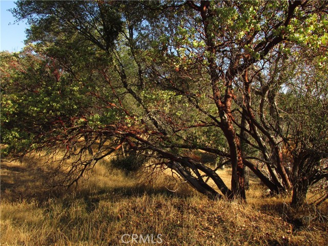 Detail Gallery Image 53 of 54 For 2 Ac Old Oaks Ct, North Fork,  CA 93643 - – Beds | – Baths