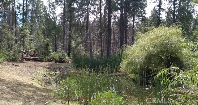 6956 Best Road, Mariposa, CA, 95338 6956 Best Road, Mariposa, CA, 95338
