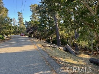 Front Image Thumbnail for CRSC26195859
