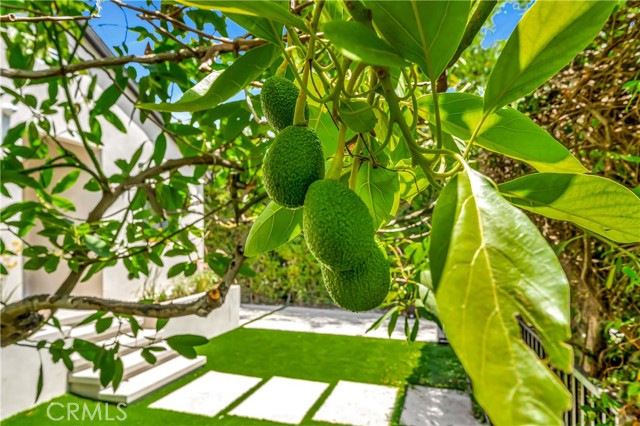 Detail Gallery Image 53 of 54 For 6743 Colgate Ave, Los Angeles,  CA 90048 - 4 Beds | 3/1 Baths