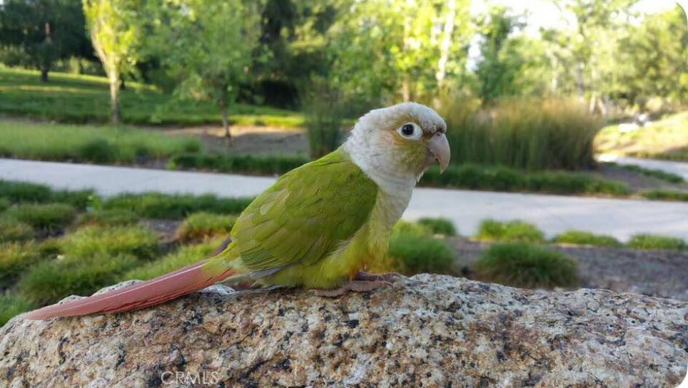 MLS #OC25223719 image #19