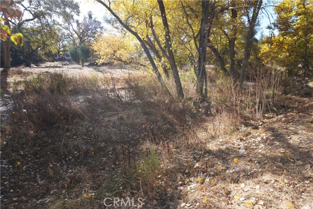 Detail Gallery Image 11 of 11 For 9635 Carmelita Ave, Atascadero,  CA 93422 - 4 Beds | 2 Baths