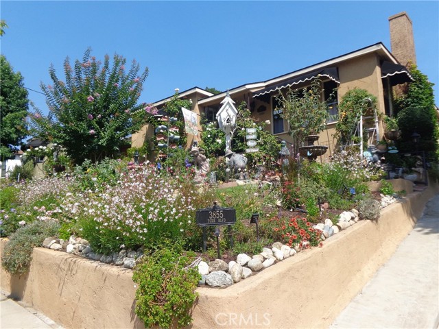 Detail Gallery Image 1 of 69 For 3855 York Bld, Los Angeles,  CA 90065 - 3 Beds | 2 Baths