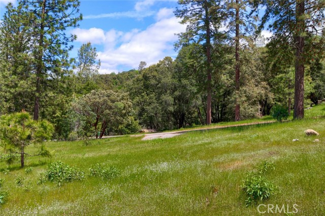 Detail Gallery Image 5 of 25 For 0 4.98 Ac Timberwood Ln, Oakhurst,  CA 93644 - – Beds | – Baths