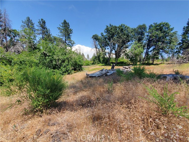 8819 Skyway, Paradise, California 95969, ,Land,For Sale,8819 Skyway,CRSN23115047