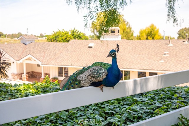 62 Strawberry Lane, Rolling Hills Estates, California 90274, 3 Bedrooms Bedrooms, ,2 BathroomsBathrooms,Residential,Sold,Strawberry Lane,SB22081862