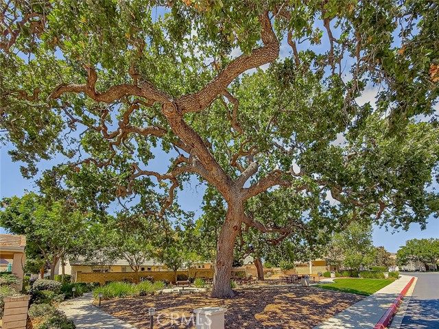 2037 Freesia Avenue, Simi Valley CA: https://media.crmls.org/medias/0152d816-33a8-4aeb-b022-fbad7e8da51f.jpg