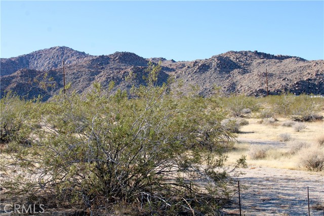 Detail Gallery Image 9 of 13 For 61308105 Dorth Pl, Twentynine Palms,  CA 92277 - – Beds | – Baths