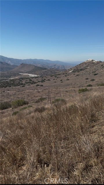 Front Image Thumbnail for CRSR25171584