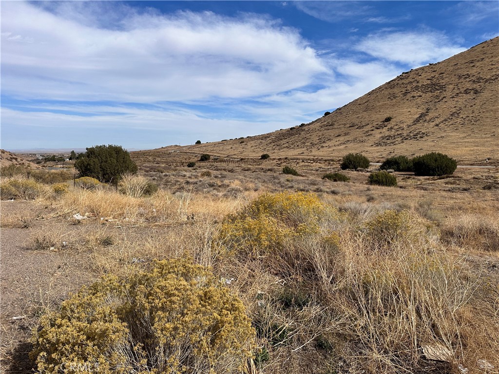 MLS #SR25258247 image #13