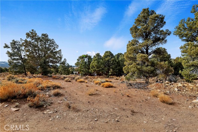 Detail Gallery Image 9 of 10 For 0 Sunny Slope Ln, Big Bear City,  CA 92314 - – Beds | – Baths