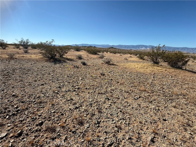 Detail Gallery Image 2 of 8 For 0 Shapaval Ave, Lucerne Valley,  CA 92356 - – Beds | – Baths