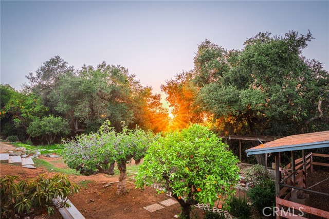 3455 Rancho Rio Bonita photo 52
