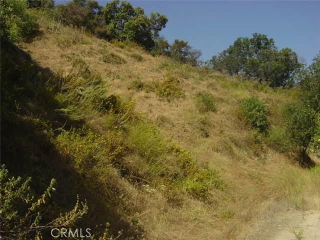 Front Image Thumbnail for CRGD26098747