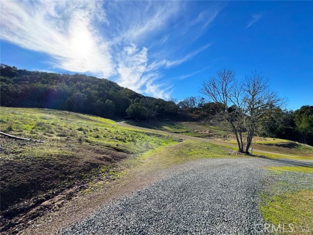 Image 49 of 65 For 8411 Highway 175