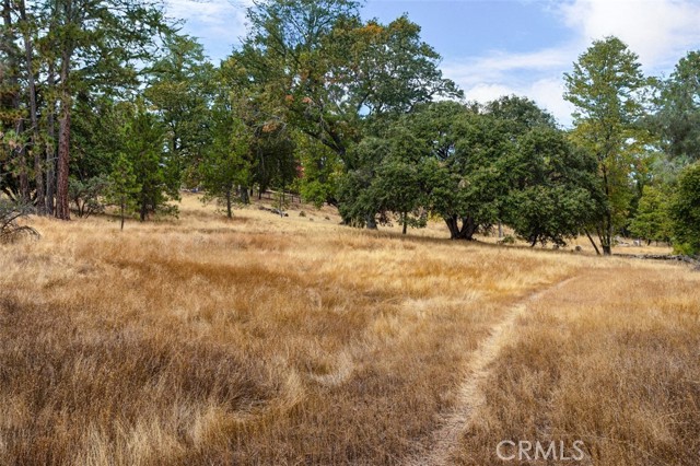 Mariposa, CA 95338