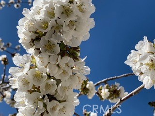 https://media.crmls.org/medias/016cf368-f31a-4491-9551-0b3ae0b34373.jpg?preset=X-Large