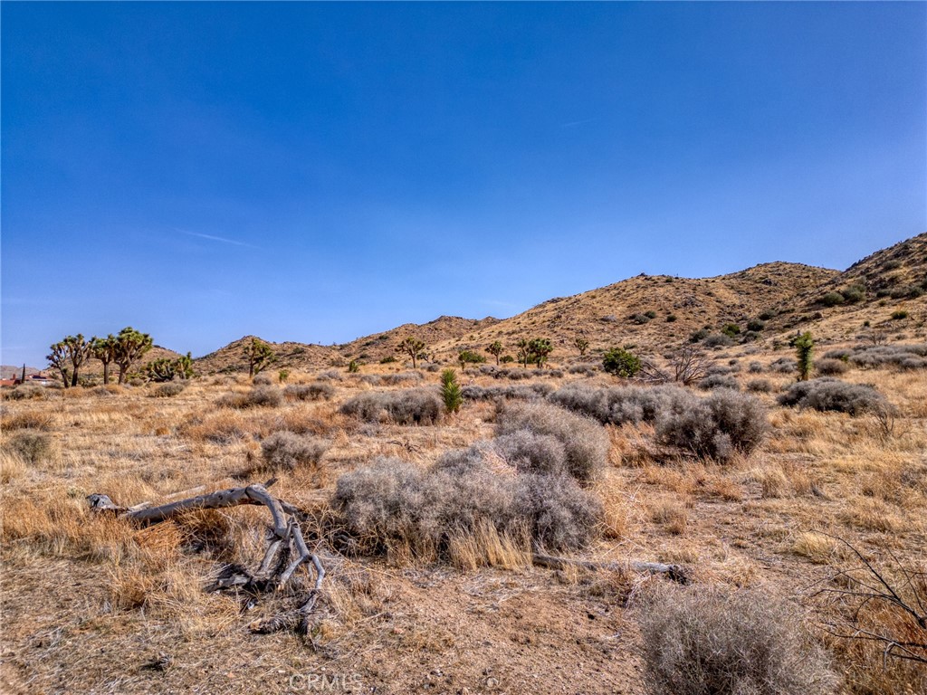 MLS #JT25046600 image #27