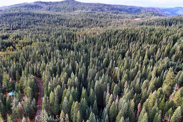 Front Image Thumbnail for CROC26013653