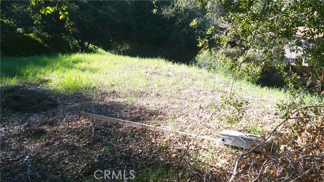 Detail Gallery Image 13 of 18 For 4214 Elzevir Rd, Woodland Hills,  CA 91364 - – Beds | – Baths