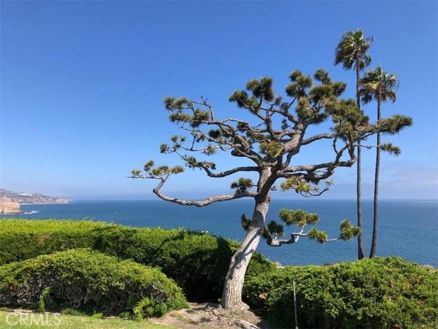 Detail Gallery Image 36 of 39 For 32759 Seagate Dr #201,  Rancho Palos Verdes,  CA 90275 - 2 Beds | 2 Baths