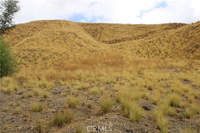 3448 N Beverly Drive, San Bernardino CA: https://media.crmls.org/medias/0173deb0-2bfc-49d7-bb06-61517ad00ed0.jpg