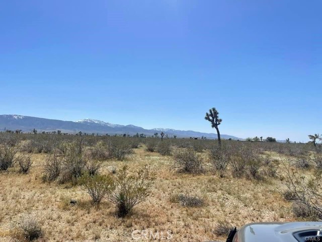 0 -Dos Palmas Rd., Pinon Hills, California 92372, ,Land,For Sale,0 -Dos Palmas Rd.,CREV23199555