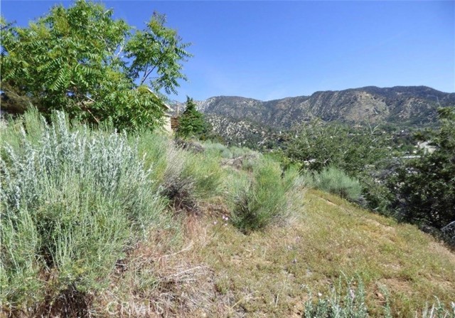 Detail Gallery Image 3 of 6 For 3408 Iowa, Frazier Park,  CA 93225 - – Beds | – Baths