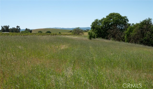 Detail Gallery Image 2 of 33 For 7575 Airport Rd, Paso Robles,  CA 93446 - 3 Beds | 2/1 Baths