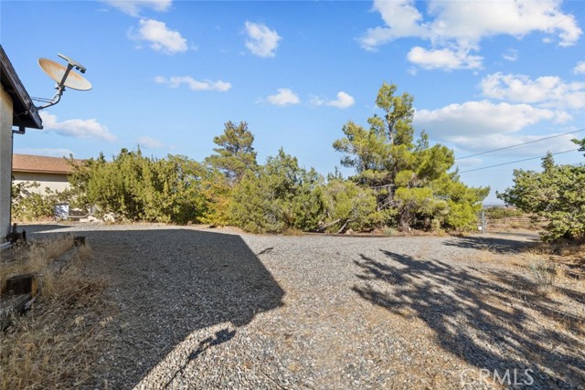 Detail Gallery Image 35 of 54 For 8676 Sky Line Dr, Pinon Hills,  CA 92372 - 3 Beds | 2/1 Baths