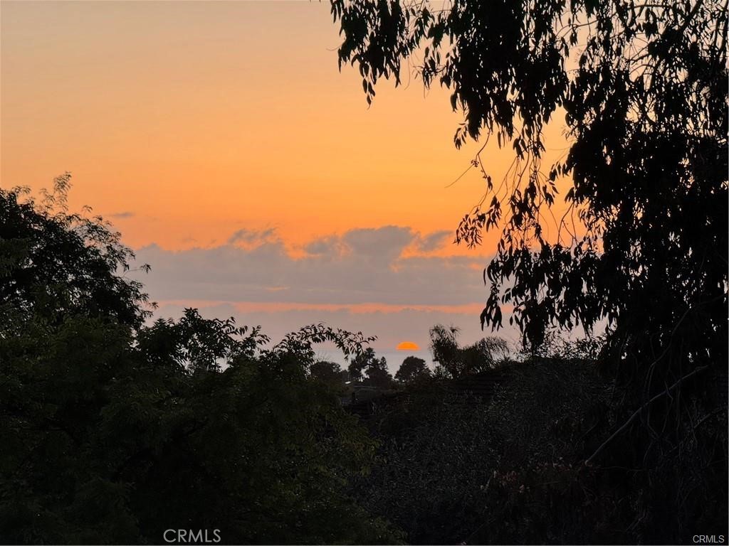 Tucked away at the end of a private drive off Nardo Rd, this beautifully maintained 3-bedroom, 2.5-bath Encinitas home offers peace, privacy, and breathtaking views. Freshly painted throughout and new Berber carpet in all bedrooms, the home also features Saltillo tile and beautiful wood flooring in the main living areas. The kitchen and bathrooms are appointed with tiled countertops and warm wood cabinetry. An open-concept floorplan connects to a spacious deck--ideal for enjoying ocean breezes, sunsets, and treetop vistas. The primary suite includes vaulted ceilings, a large walk-in closet, and access to a second expansive balcony. Two fireplaces add cozy charm to both the living and family rooms. Additional highlights include custom closet organizers, a full laundry room (washer and dryer not included), and an attached 2-car garage with direct access to the kitchen. Ideally located near San Dieguito Academy, Swami's Beach, top shopping and dining, and with easy access to the 5 Freeway. Owner may approve a well-behaved pet with an additional deposit.