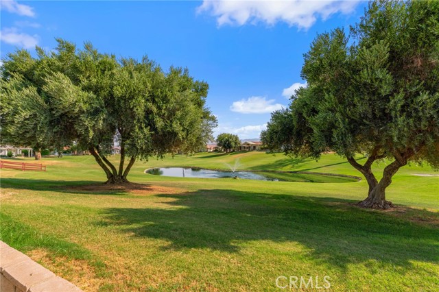 Detail Gallery Image 21 of 29 For 34774 Stage Dr, Thousand Palms,  CA 92276 - 2 Beds | 2 Baths