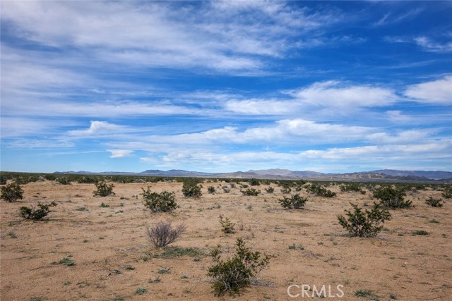 Front Image Thumbnail for CRIG26029589