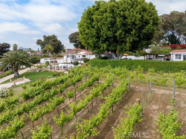 1651 Scooter Lane, Fallbrook, California 92028, 4 Bedrooms Bedrooms, ,3 BathroomsBathrooms,Residential,For Sale,Scooter Lane,SW24116992