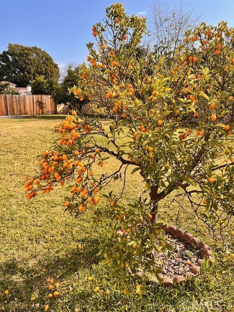 Detail Gallery Image 19 of 22 For 1054 S Mayflower Ave, Arcadia,  CA 91006 - 3 Beds | 2 Baths