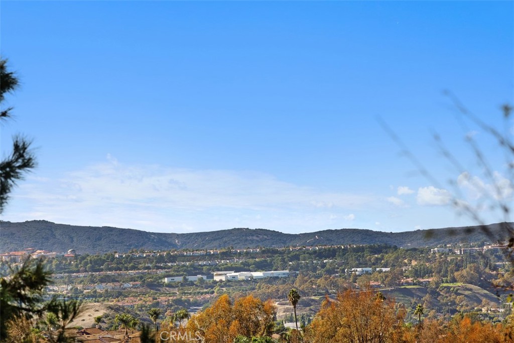 MLS #OC25275923 image #33