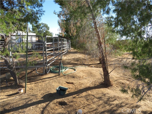 Detail Gallery Image 38 of 53 For 3840 Lupine, Rosamond,  CA 93560 - 4 Beds | 3 Baths