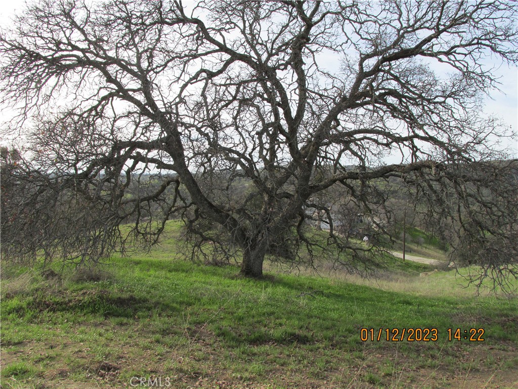 MLS #FR25100553 image #4