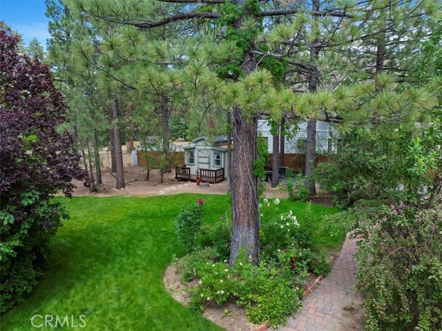42784 Edelweiss Drive, Big Bear Lake CA: https://media.crmls.org/medias/018c9c88-1304-48a3-94ac-63558abb1b0c.jpg