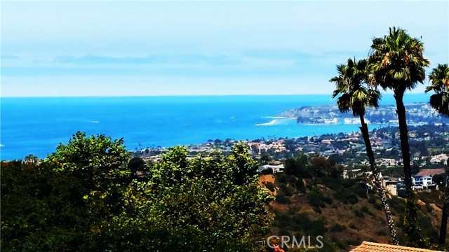 40 Paseo Alba, San Clemente CA: https://media.crmls.org/medias/018e0f2c-3518-4d3a-9731-a958740edb35.jpg