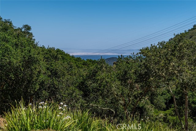 2650 Skyview Trail, San Luis Obispo CA: https://media.crmls.org/medias/019c66a7-21c8-437e-a8a5-96139c209b7d.jpg
