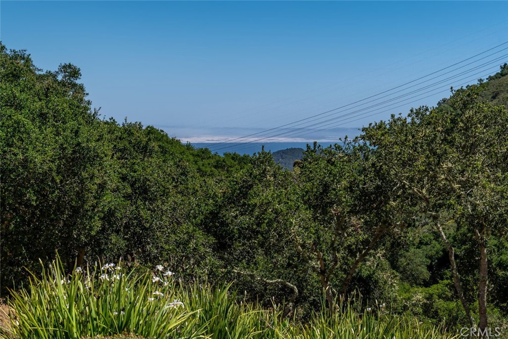 https://media.crmls.org/medias/019c66a7-21c8-437e-a8a5-96139c209b7d.jpg?preset=X-Large