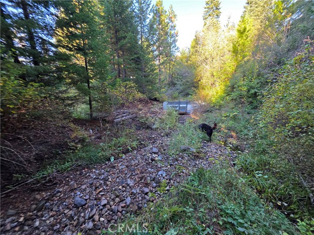 Detail Gallery Image 16 of 22 For 0 Muledeer Rd., Weed,  CA 96094 - – Beds | – Baths