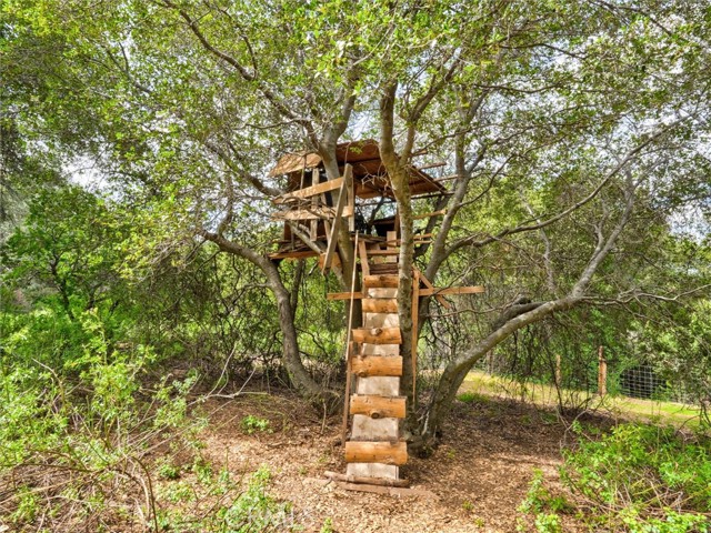 Detail Gallery Image 17 of 20 For 53899 Dogwood Dr, North Fork,  CA 93643 - – Beds | – Baths