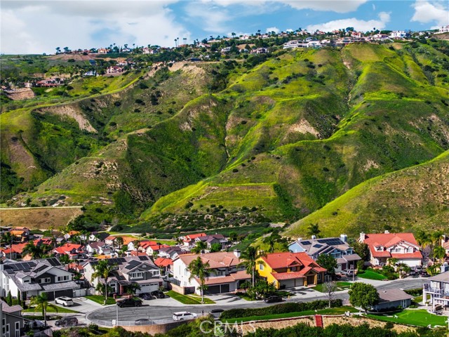 Detail Gallery Image 68 of 75 For 5265 Avenida De Kristine, Yorba Linda,  CA 92887 - 5 Beds | 3/1 Baths