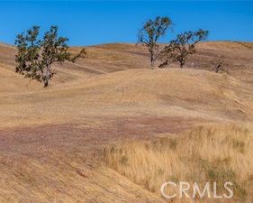 Detail Gallery Image 1 of 3 For 3700 Gruenhagen Flat, Paso Robles,  CA 93446 - – Beds | – Baths