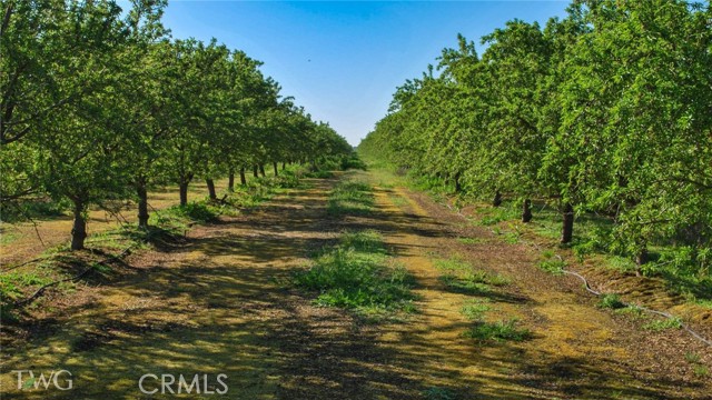 Detail Gallery Image 15 of 16 For 25012 Avenue 24, Chowchilla,  CA 93610 - – Beds | – Baths