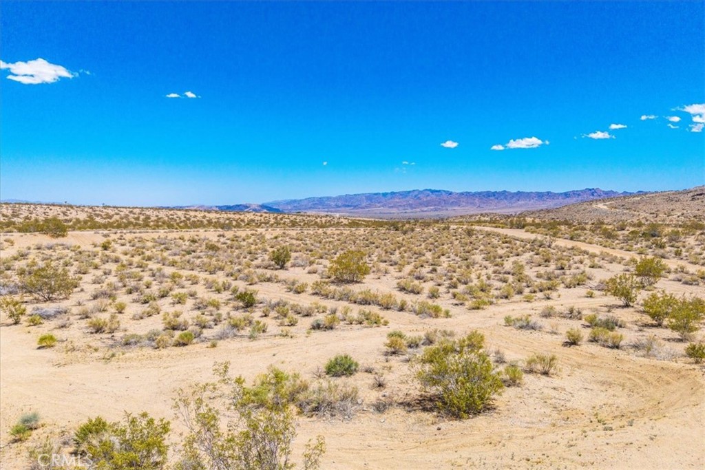 MLS #JT25107809 image #11